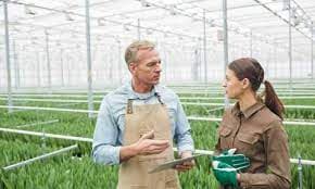 Agricultural Economics Agribusiness
