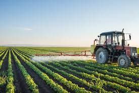 Agribusiness Innovation
