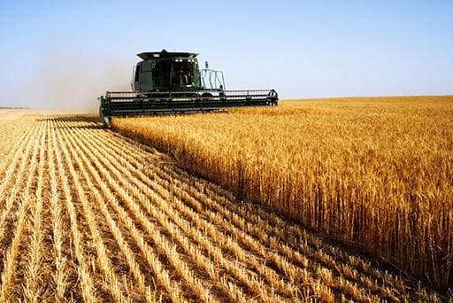 Agricultural Extension