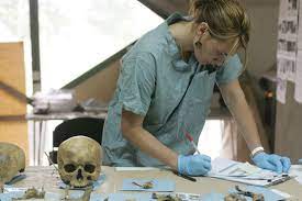 Anthropology specialties
