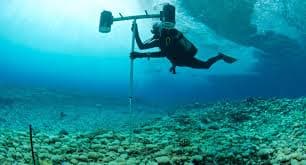 Marine Biology