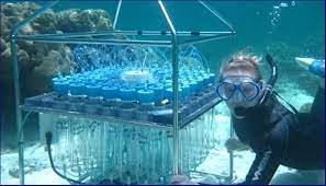 Oceanography