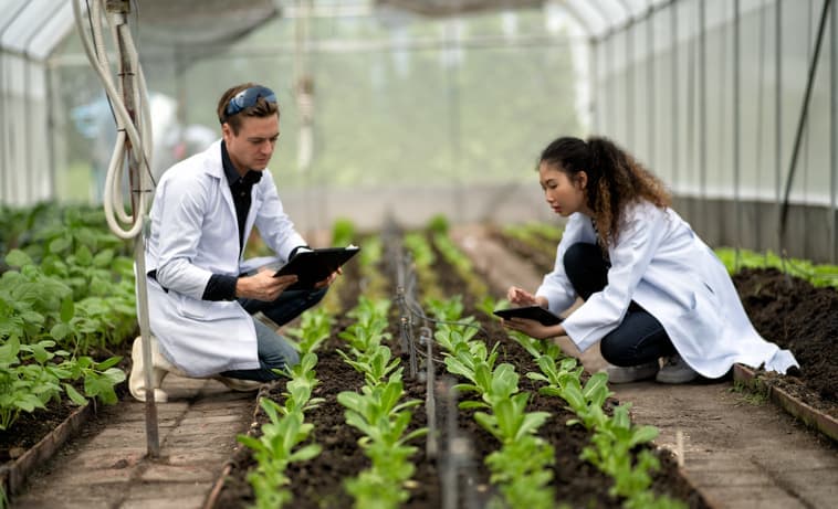 Plant Soil Science