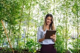 Eco-conscious travelers enjoying nature