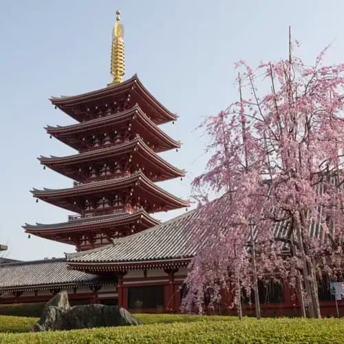 Top Academic Jobs Japan