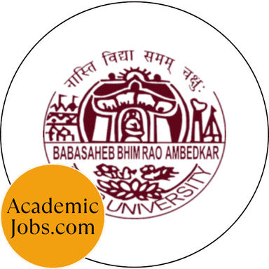 B. R. Ambedkar Bihar University logo