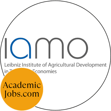 Institute for the Economy in Transition logo