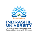 Indrashil University logo