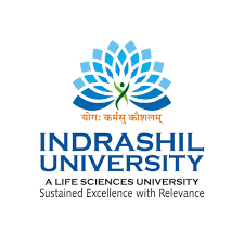 Indrashil University logo