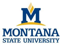 Montana State University logo