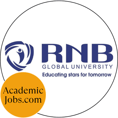 RNB Global University logo