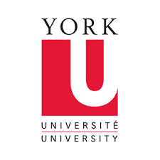 York University Careers