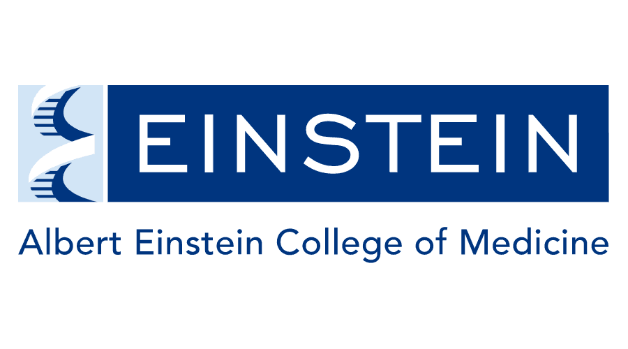 Einstein Logo