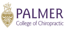 Palmer Logo