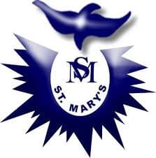 Datta Meghe College of Nursing logo