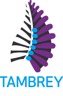  Lee Kong Chian School of Medicine logo