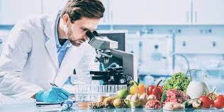 Food Science Culinary Innovation