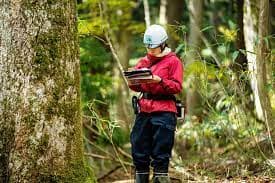 forest ecology