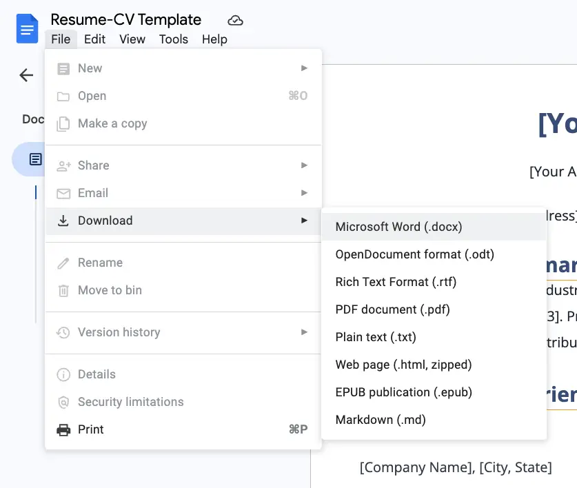 Resume Template Preview