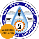 Arba Minch University Jobs logo