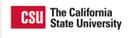 California State University, Long Beach logo