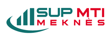 Ecole Supérieure d'Informatique et de Management logo