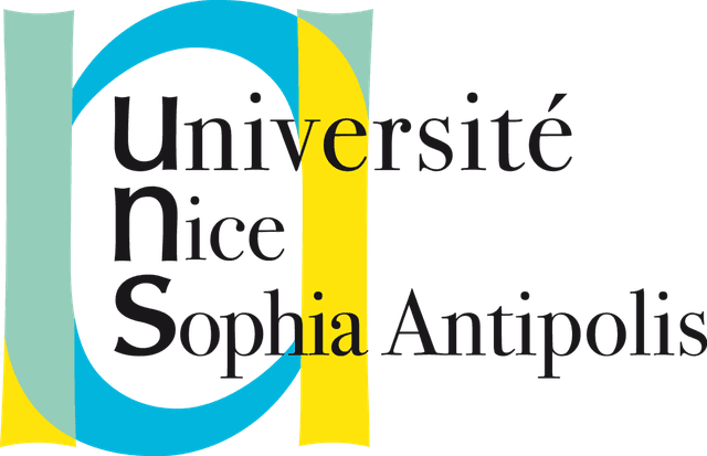 SKEMA Logo