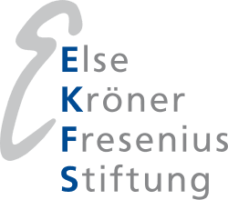 Else Kroener Fresenius Foundation logo