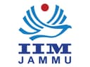 Professor of Practice, Associate Professor of Practice, Professor, Associate Professor, Assistant Professor, Doctoral Fellows, Teaching Assistants