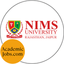 NIMS School of Computer and Artificial Intelligence logo