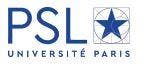 Paris Sciences et Lettres – PSL Research University Paris Logo