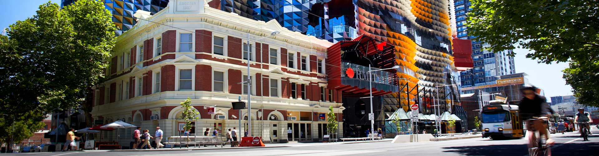 RMIT University