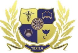 Texila American University logo