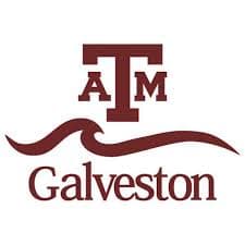 Texas A&M University - Galveston Jobs